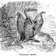 Illustration for article titled Strange 19th Century Drawings of Dinosaurs and Other Extinct Animals